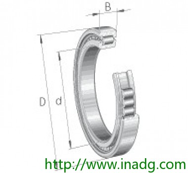 INA圆柱滚子轴承 SL185020-A-C3